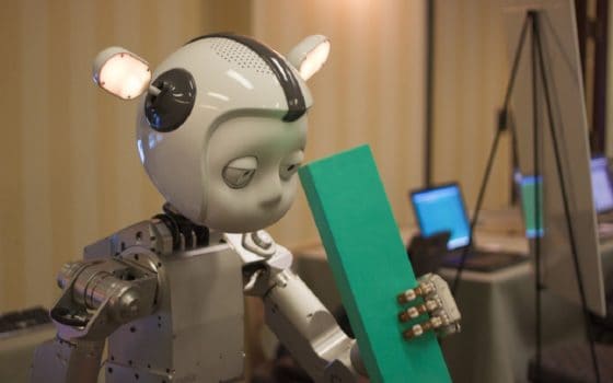 Humanoid Robot