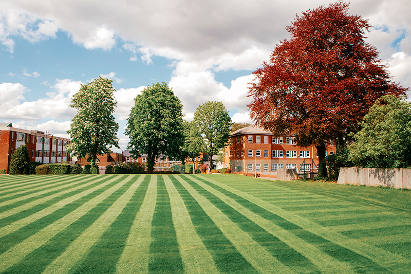 A scenic image of Sutton London summer camp grounds and trees with the building framed between them