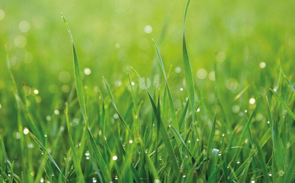 Enviromental-course-earlscliffe-SBC