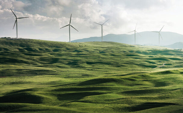 wind-turbines-in-field