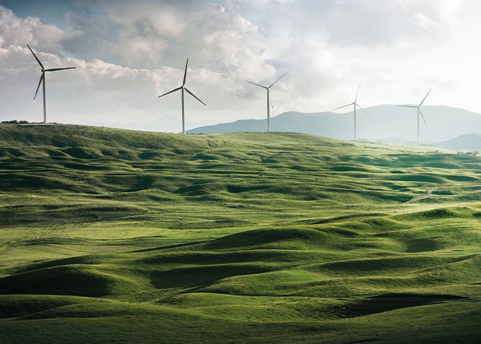 wind-turbines-in-field