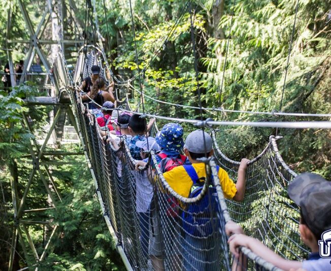 Children in helmets and harnesses cross a high rope bridge between tall trees